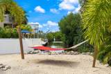 1106 Thatch Lane - Photo 46