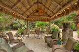 30374 Oleander Boulevard - Photo 2