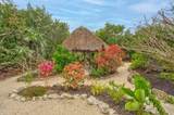 30374 Oleander Boulevard - Photo 34