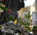 714 Olivia Street - Photo 2
