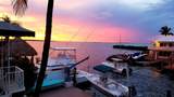 114 Coconut Palm Boulevard - Photo 48