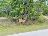 3962-3964 No Name Road - Photo 19