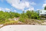 27305 Guadaloupe Lane - Photo 4