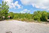 27305 Guadaloupe Lane - Photo 6