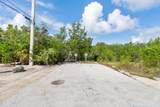 27305 Guadaloupe Lane - Photo 7