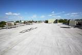 311 Margaret Street - Photo 7