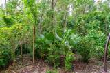 1023 Valencia Road - Photo 8