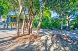 27 Lycaloma Avenue - Photo 41