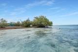  Molasses Keys - Photo 21
