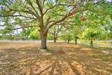 3450 Palm Avenue - Photo 42