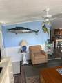27973 Snapper Lane - Photo 16