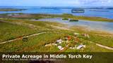 2231 Middle Torch Road - Photo 1
