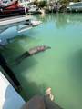 124 Indies Drive - Photo 46