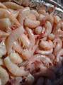 1 Mundy The Pirate Seafood Way - Photo 31