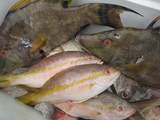 1 Mundy The Pirate Seafood Way - Photo 34