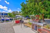 30985 Hibiscus Drive - Photo 39