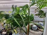 55 Boca Chica Road - Photo 40