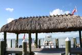 87200 Overseas Highway - Photo 28