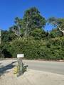 8 Grassy Road - Photo 86