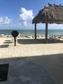 135 Coco Plum Drive - Photo 3