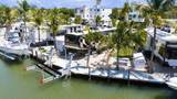 325 Calusa Street - Photo 10