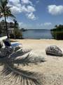215 Coconut Palm Boulevard - Photo 50