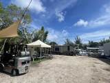 29517 Big Pine Street - Photo 6