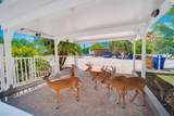 29165 Clover Lane - Photo 45