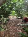 2240 Harbor Drive - Photo 65