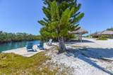 4670 Dorn Road - Photo 42
