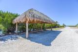 4670 Dorn Road - Photo 44