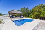 4670 Dorn Road - Photo 45
