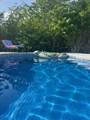4670 Dorn Road - Photo 48