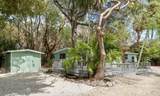 125 Tree Lane - Photo 29