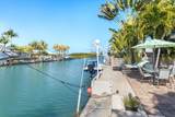 21 Bougainvillea Avenue - Photo 31