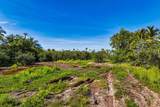 229 Coral Road - Photo 12