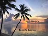 75131 Overseas Highway - Photo 18