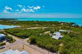 317 Tropical Avenue - Photo 10