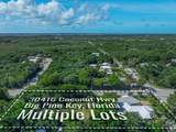30416 Coconut Highway - Photo 34