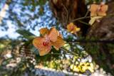 154 Cutthroat Drive - Photo 41