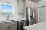 49G Miriam Street - Photo 16