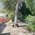814 Emerald Drive - Photo 31