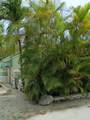 101551 Overseas Highway - Photo 62