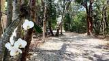 96000 Overseas Highway - Photo 19