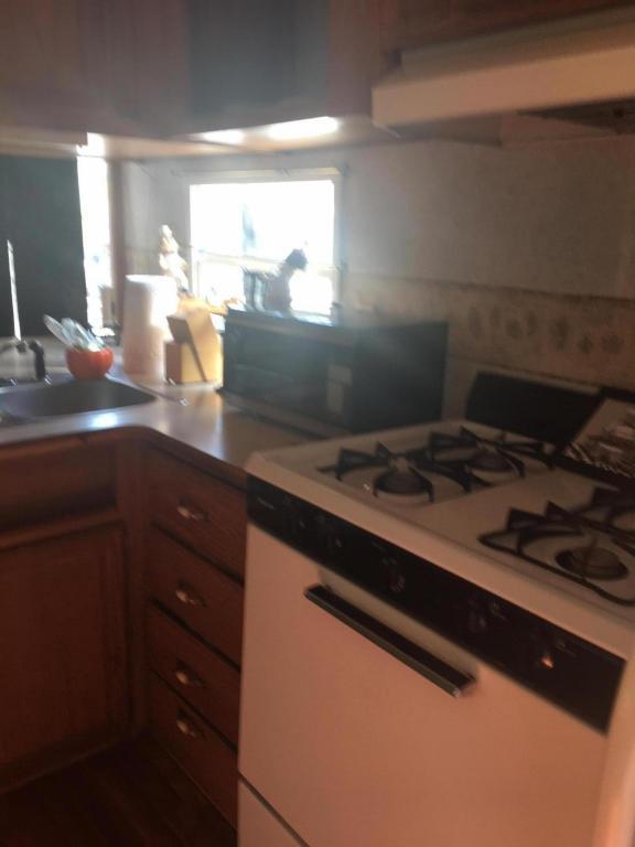 325 Calusa Street - Photo 1