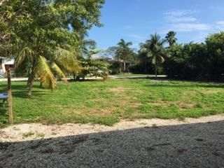 322 Calzada De Bougainville - Photo 1