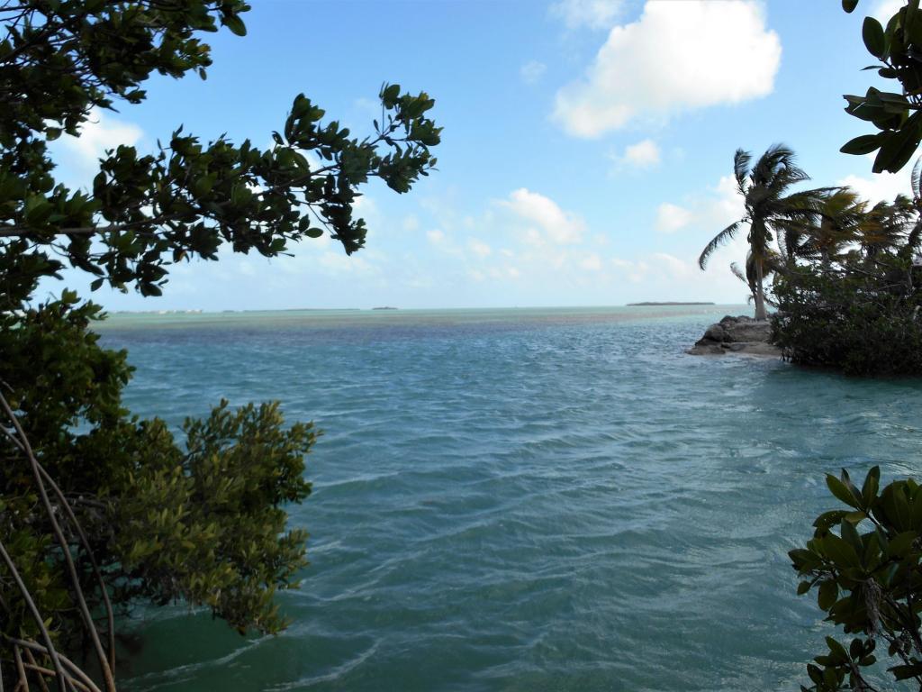 Lots 1-6 Overseas Highway - Photo 1