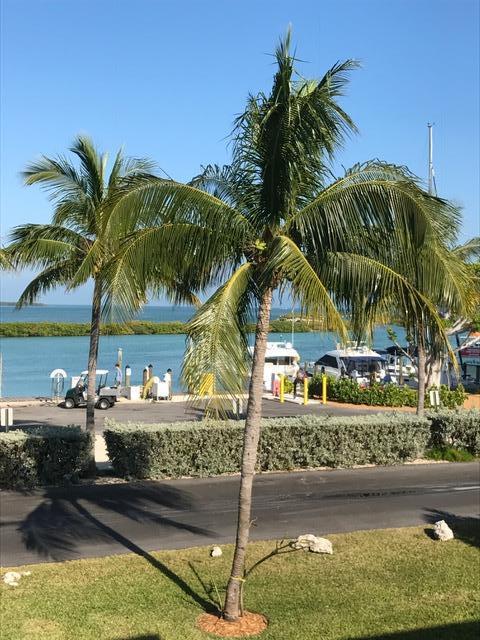 300 Duck Key Drive - Photo 1