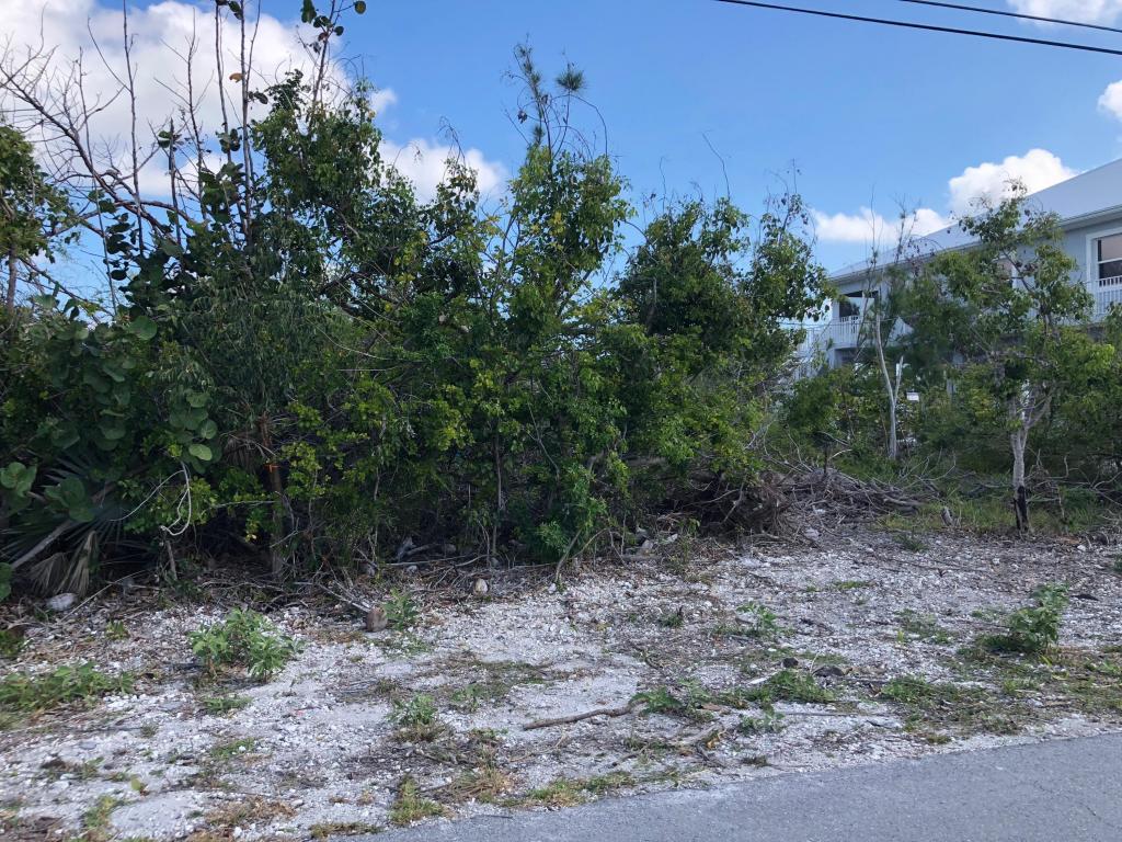29532 Forrestal Avenue - Photo 1