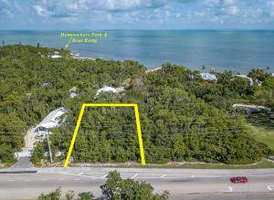 87706 Overseas Highway - Photo 1
